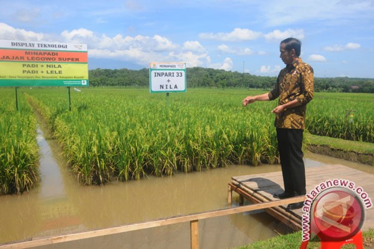 Presiden Jokowi cek langsung penggunaan dana desa di Kaltim