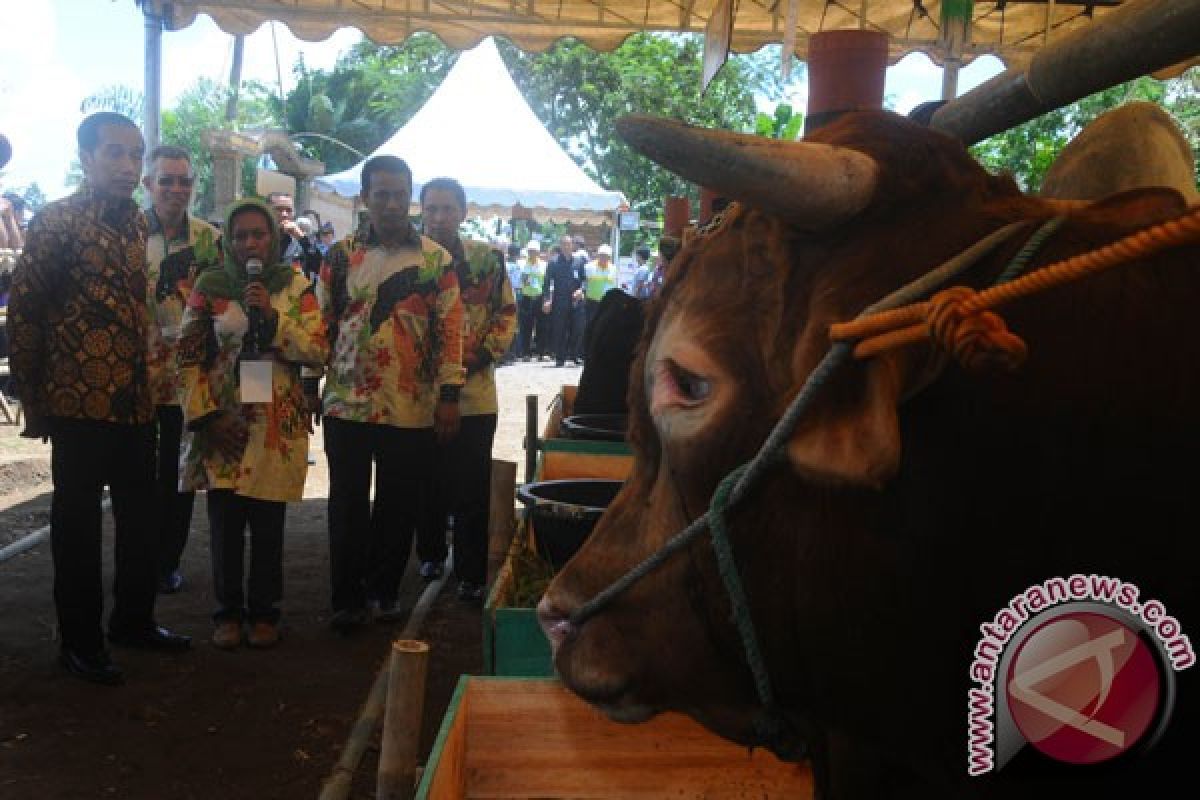 Persiapan Hari Pangan Sedunia sudah 99 persen