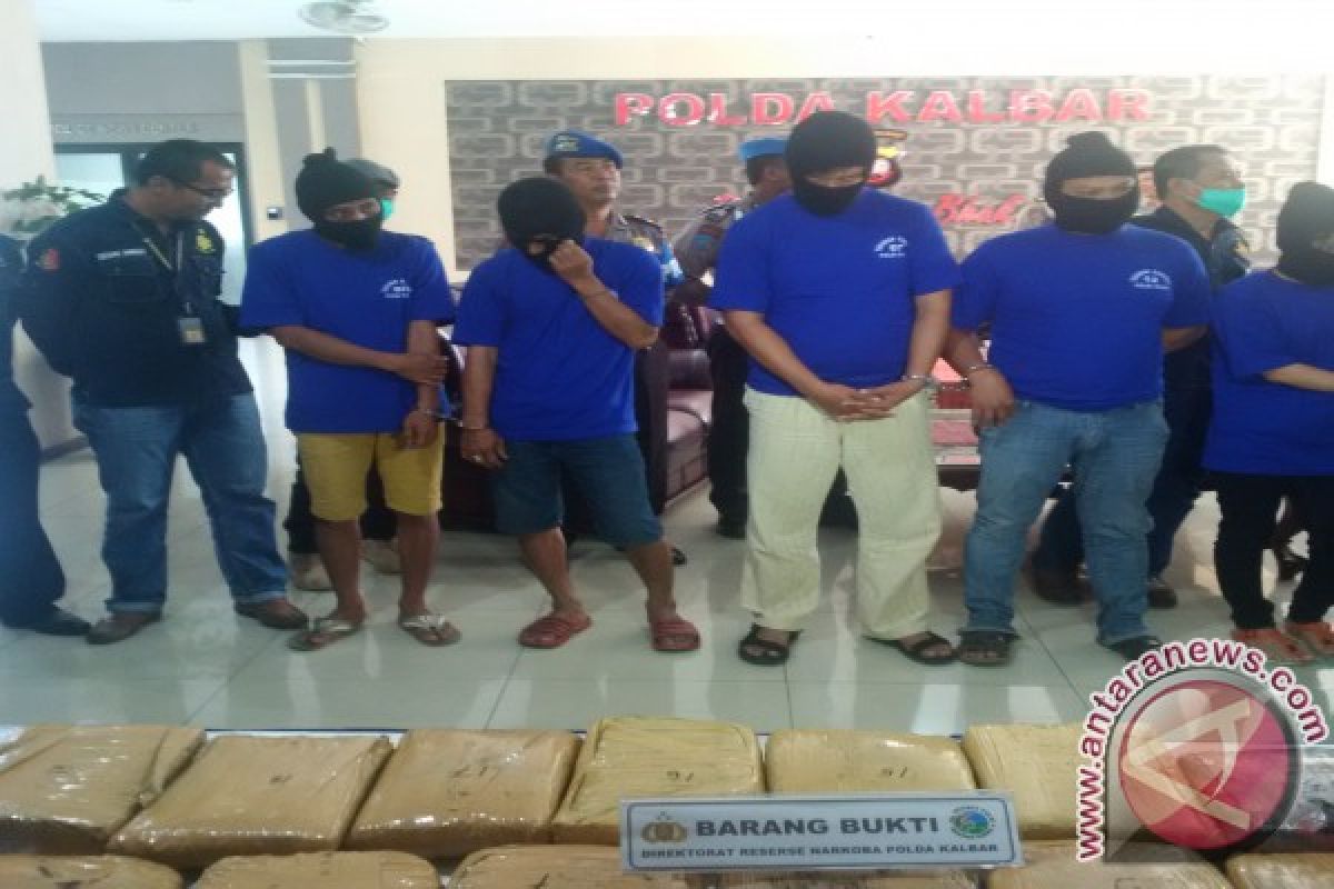 Polda Kalbar Amankan 18,5 Kilogram Ganja Kering 