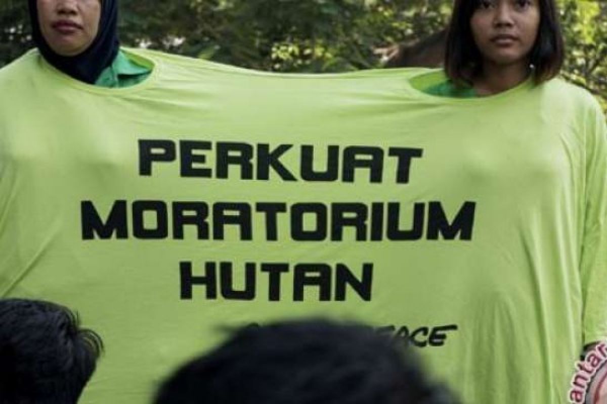 Menangkan Gugatan, Greenpeace: Ini Untuk Hutan dan Publik