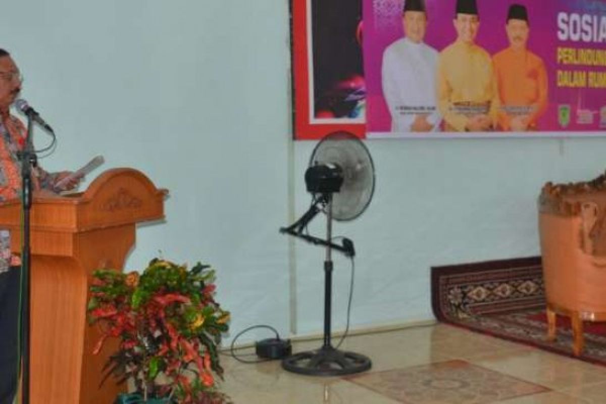 Sekda Inhil Buka Sosialisasi KDRT Pada Anak