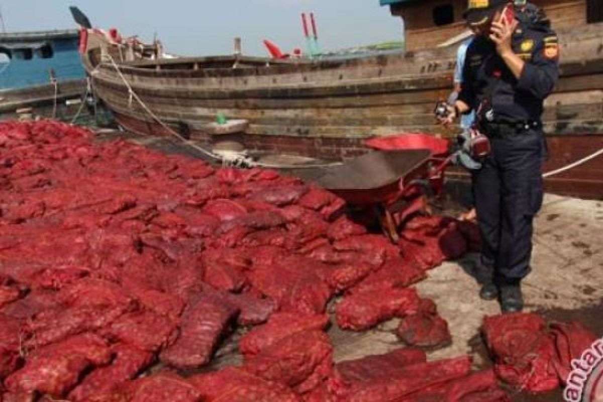 Puluhan Ton Bawang Merah Selundupan Dimusnahkan Bea Cukai Pekanbaru