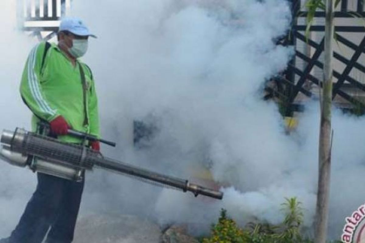 Dinkes Riau: Fogging Bisa Sebabkan Kanker Paru-paru Dan Hati