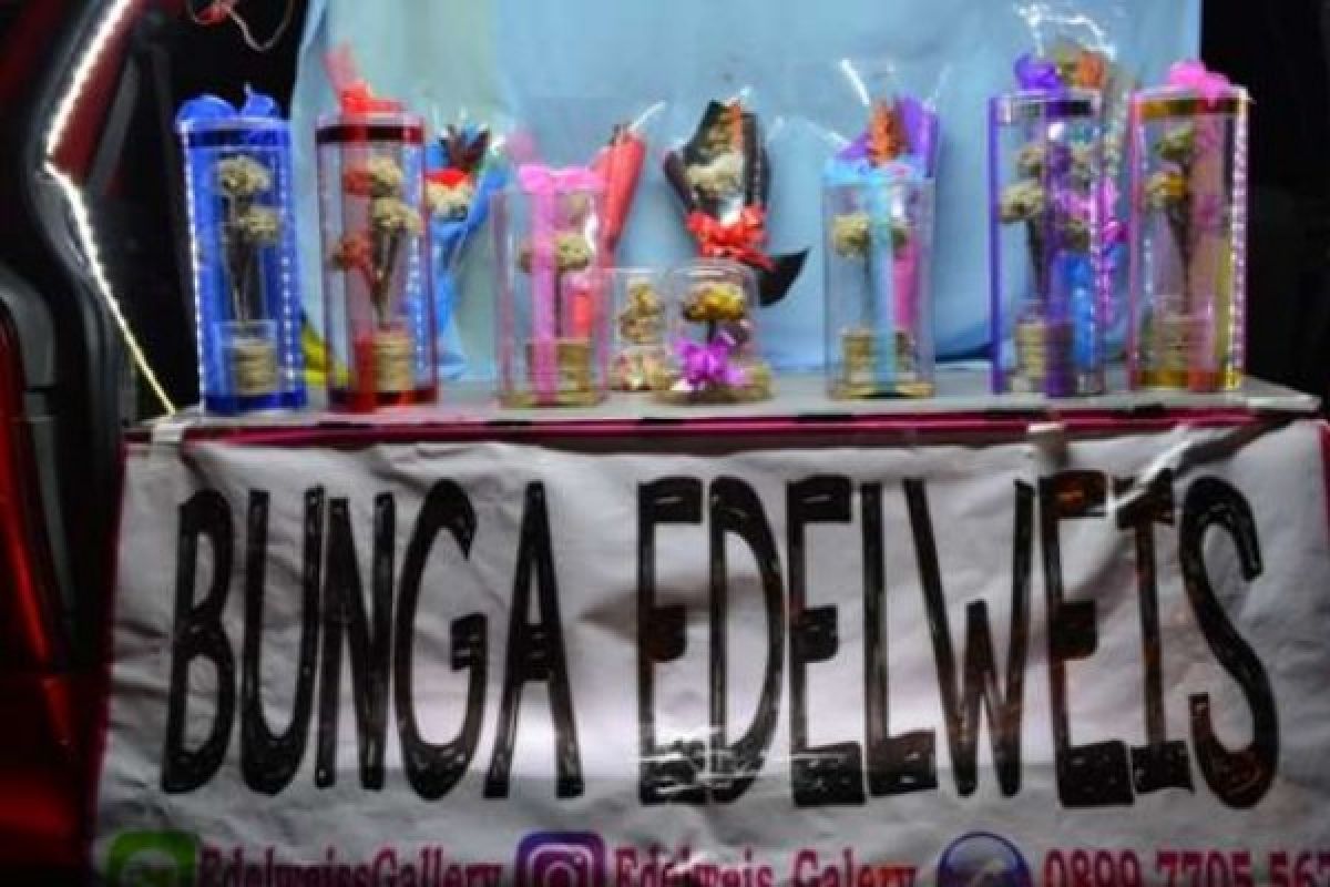 Bunga Edelweiss Asal Probolinggo Ada Dijual di Pekanbaru, Ini Kelebihannya