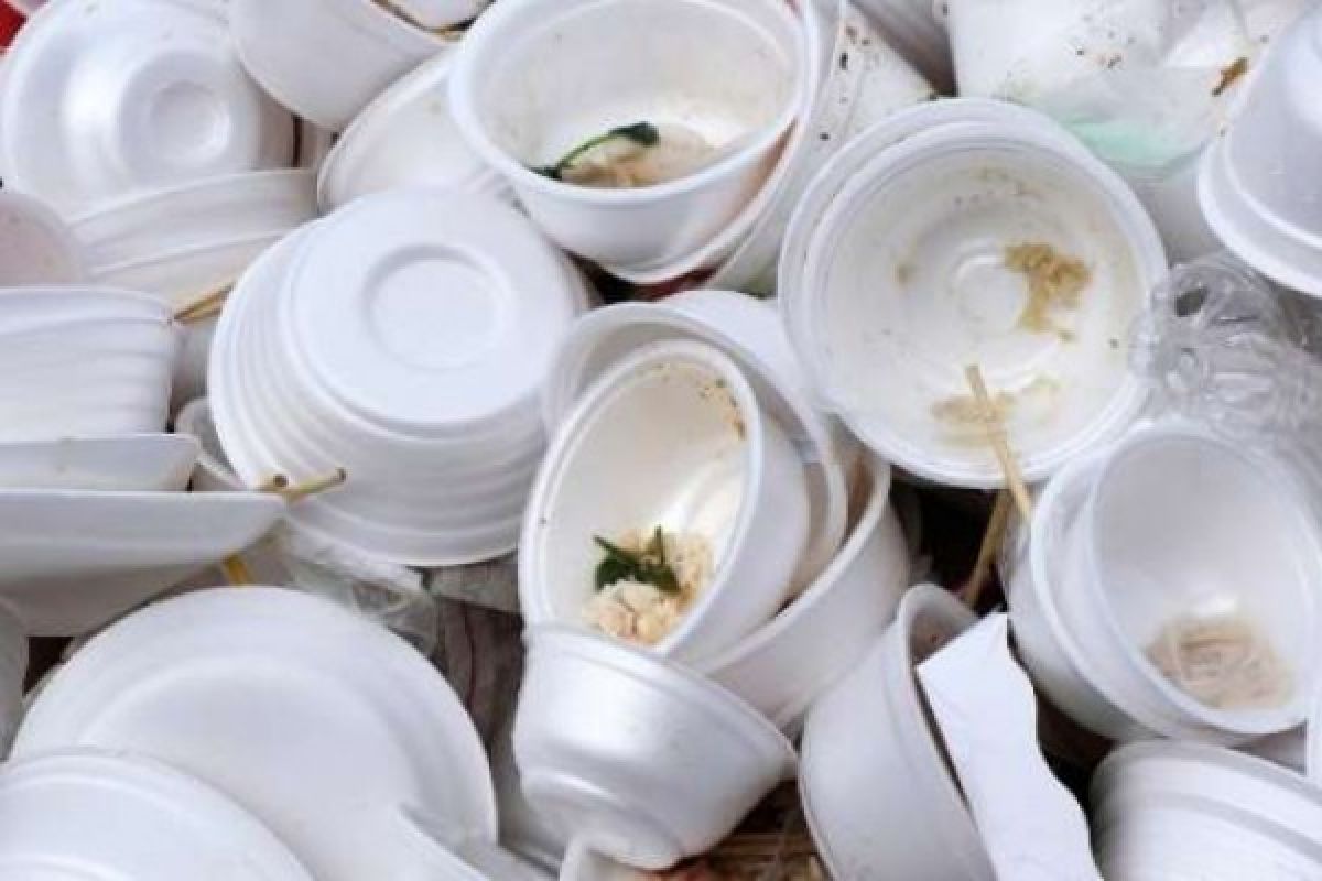 Pemko Pekanbaru Akan Kaji Penggunaan Styrofoam Dalam Pengemasan Jajanan