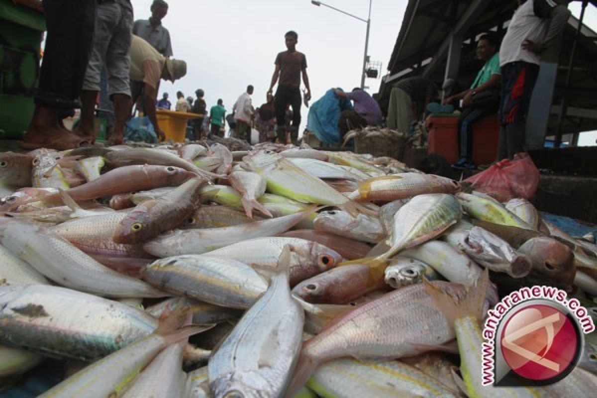 Gelombang Tinggi Picu Kenaikan Harga Ikan di Sampit