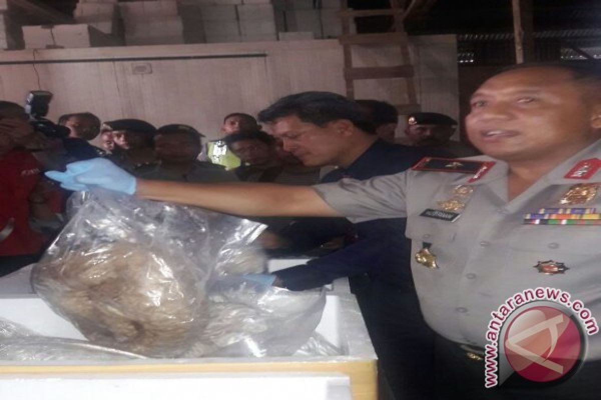 Polisi lengkapi kasus 4,7 ton daging trenggiling 