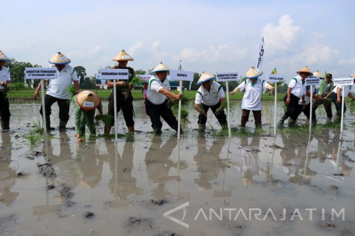 Petrokimia Jamin Tidak Akan Ada Kelangkaan Pupuk