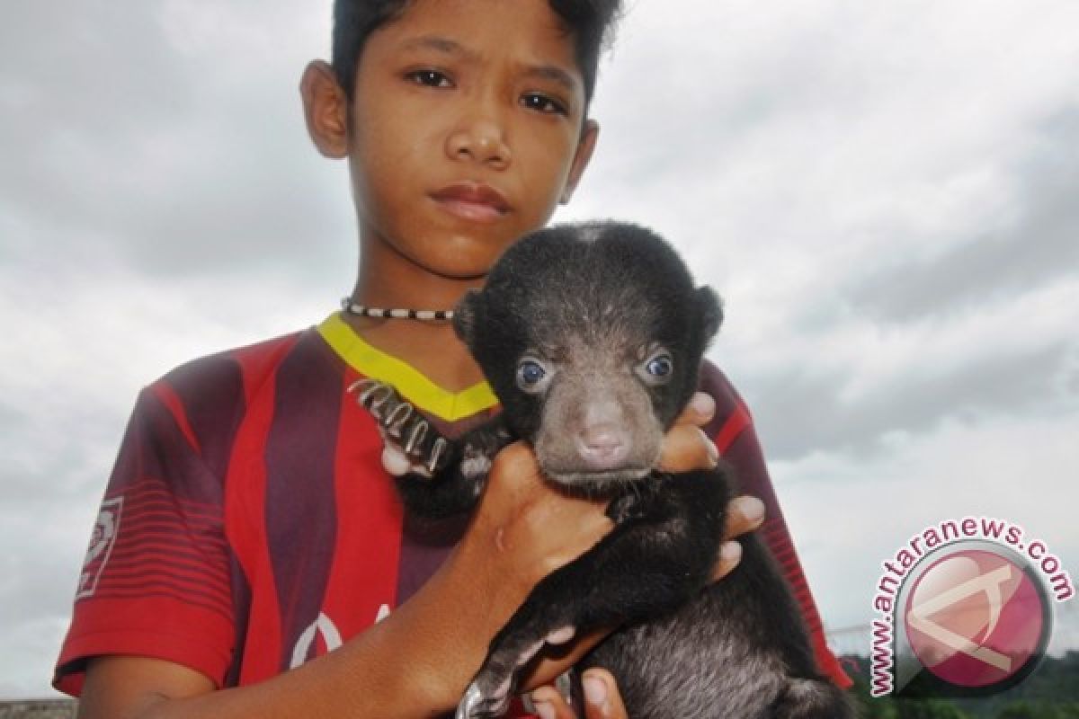 Profauna: Tambang Semen Ancam Habitat Satwa Langka