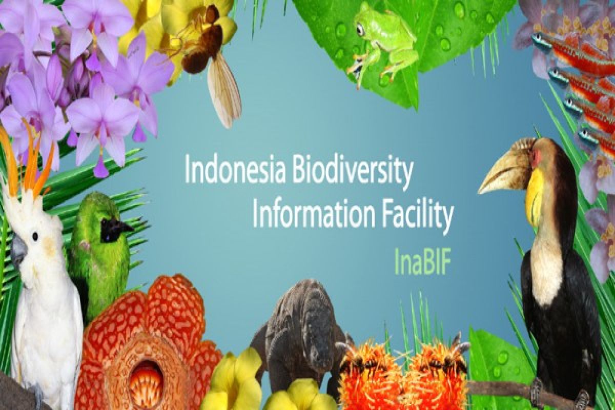 EARTH WIRE -- LIPI launches Indonesia biodiversity application