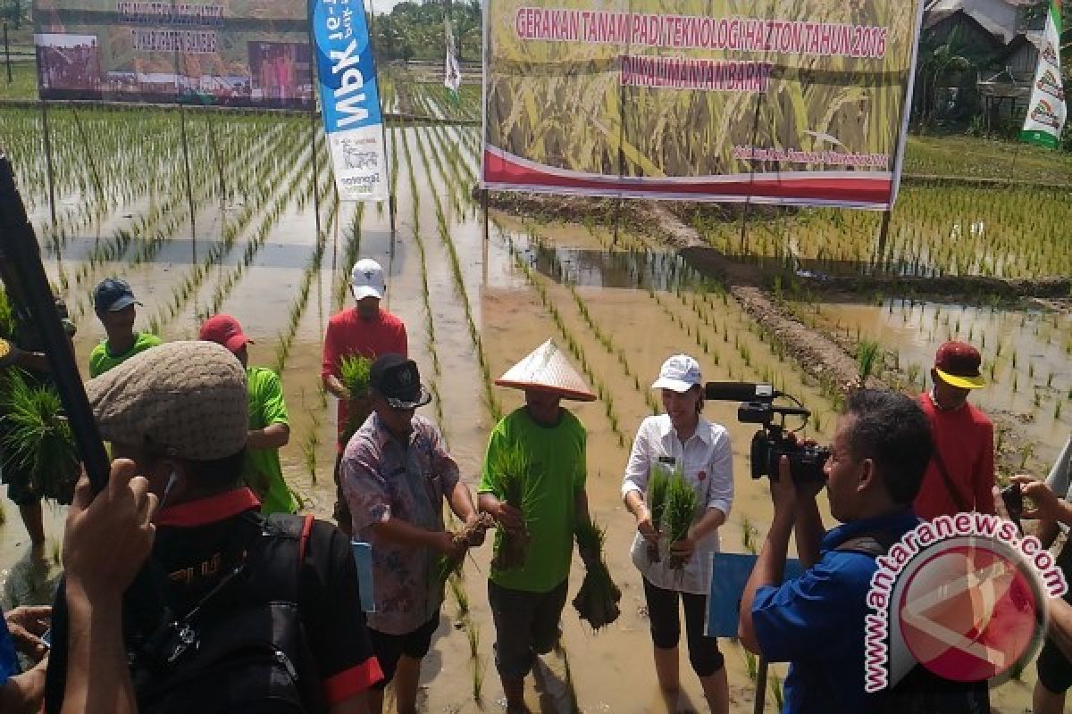 10 Ribu Hektare Lahan Sambas Gunakan Teknologi Hazton