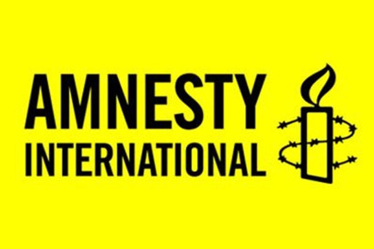 Amnesti Internasional soal keadilan di Turki: barang langka