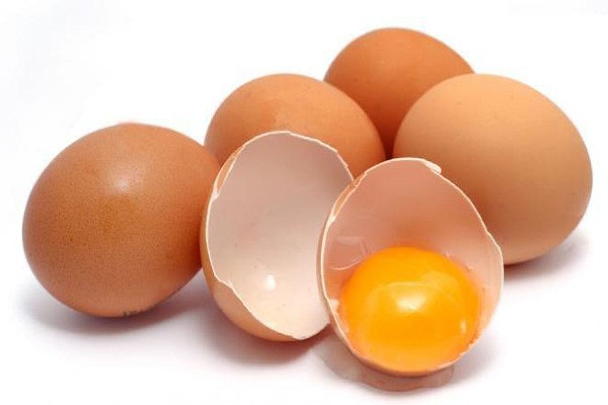 Studi : Satu telur per hari bantu jauhkan stroke