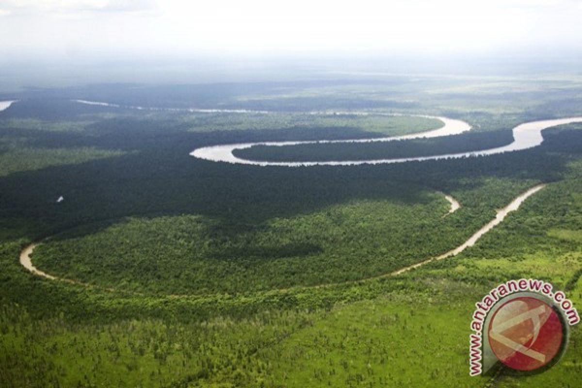 Kabupaten Pulang Pisau Kembangkan Wisata Lingkungan