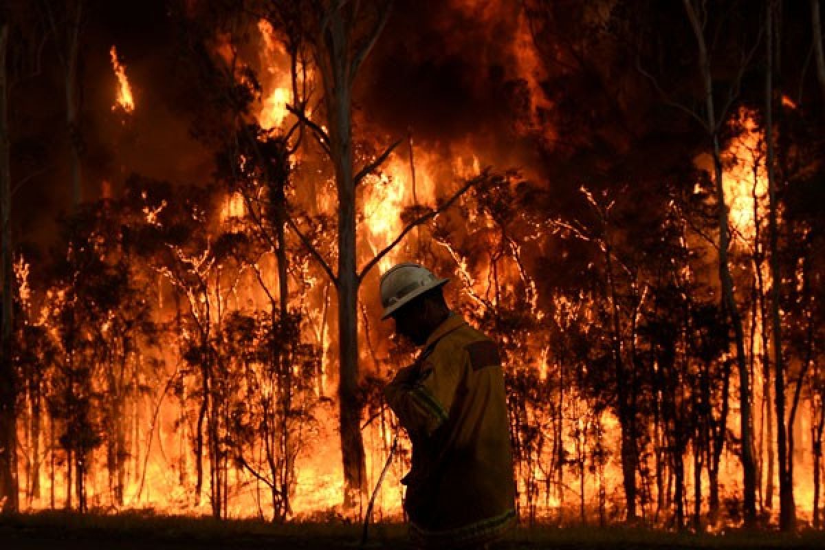 Kebakaran hutan besar terjadi di California, 3.000 petugas dikerahkan