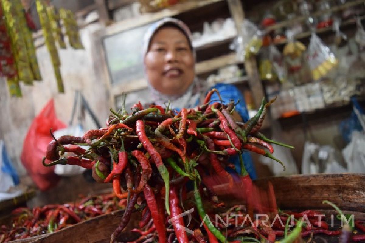 Harga Cabai Keriting di Sidoarjo Turun