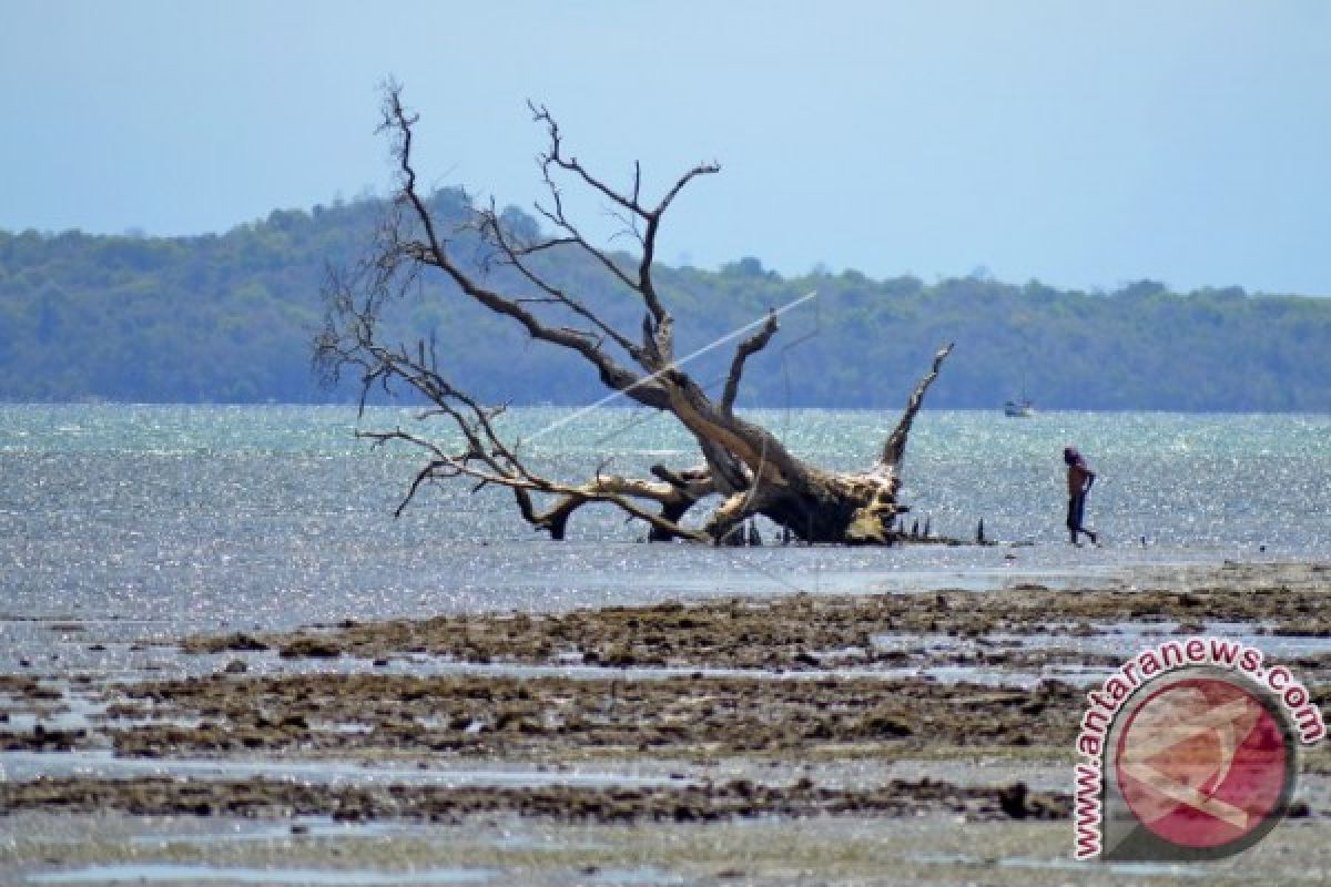 Moyo Dan Satonda Layak Jadi Taman Nasional 