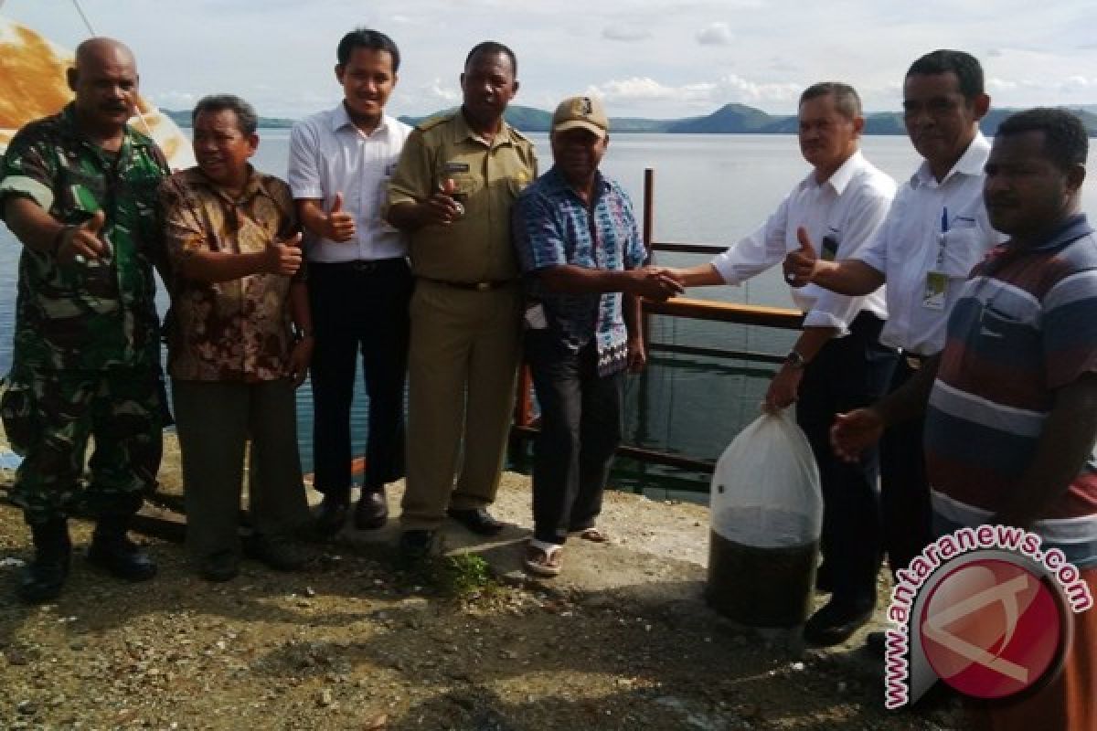 Pertamina bantu bibit ikan kepada warga Nendali Jayapura