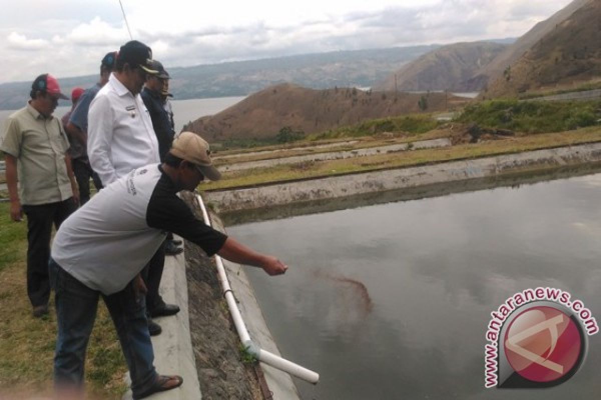 Bupati Samosir Tinjau Balai Benih Ikan