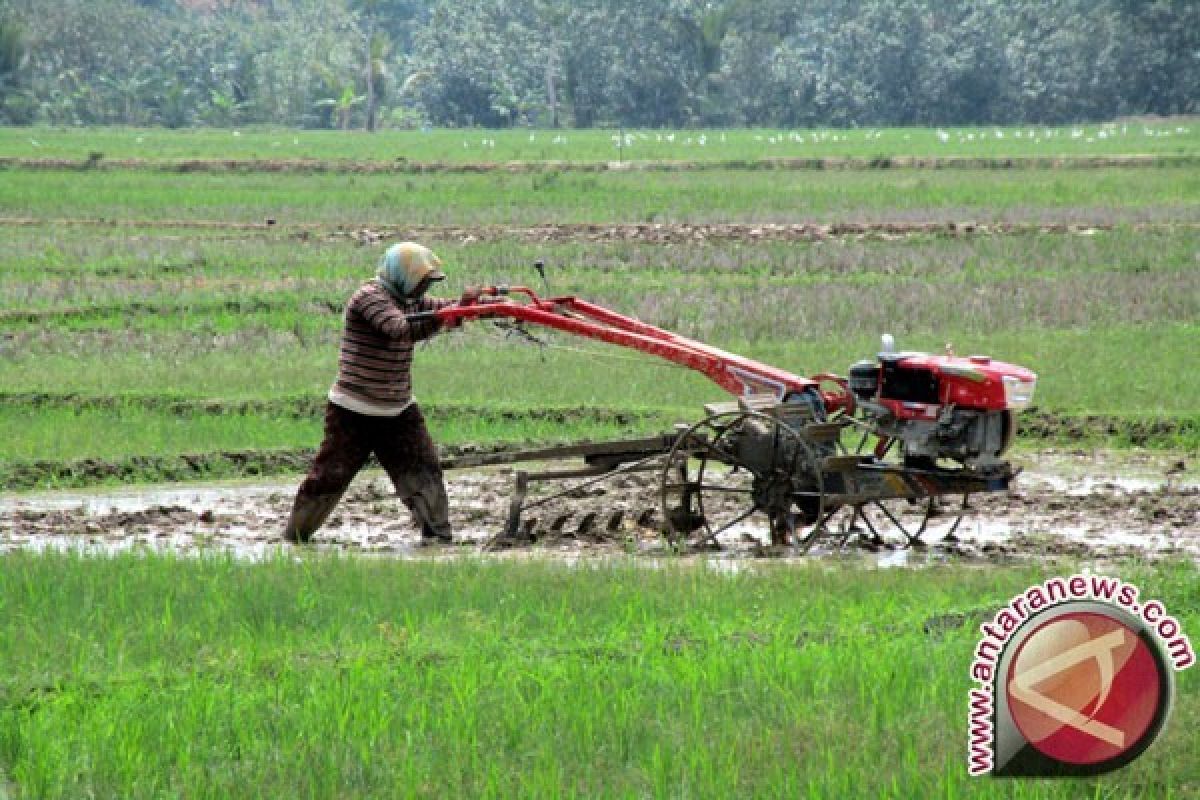 Kodim Aceh Selatan cetak sawah baru 613,2 hektare