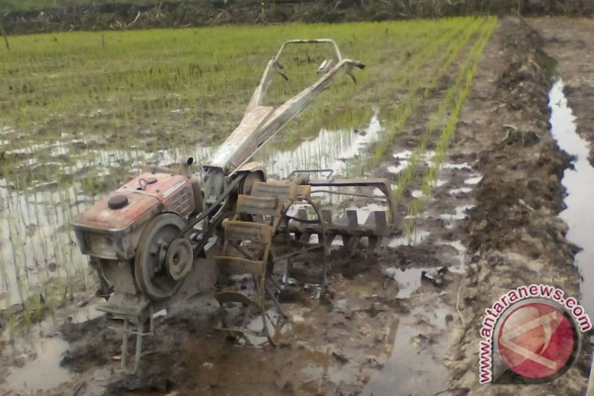 Bukit Langkap Minta Alsintan Bantuan Mentan Disalurkan