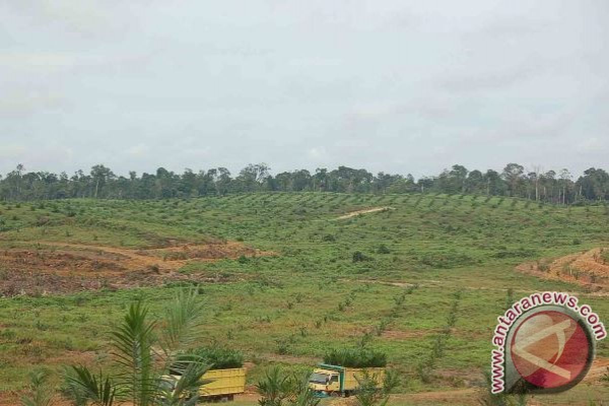 Wow! Warga Desa Di Seruyan Terima Lahan Plasma Seluas 3.125 Hektar