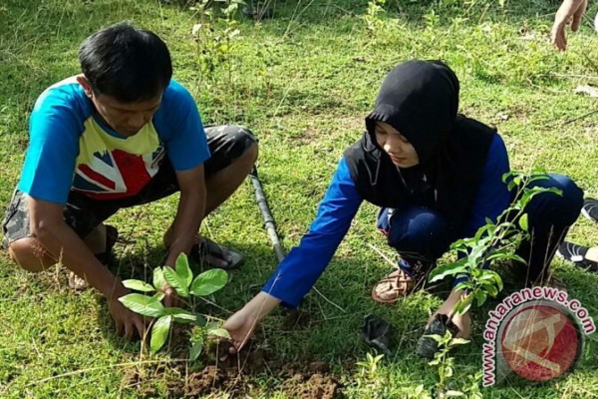 4.128 Pelajar Gorontalo Tanam Pohon Serentak