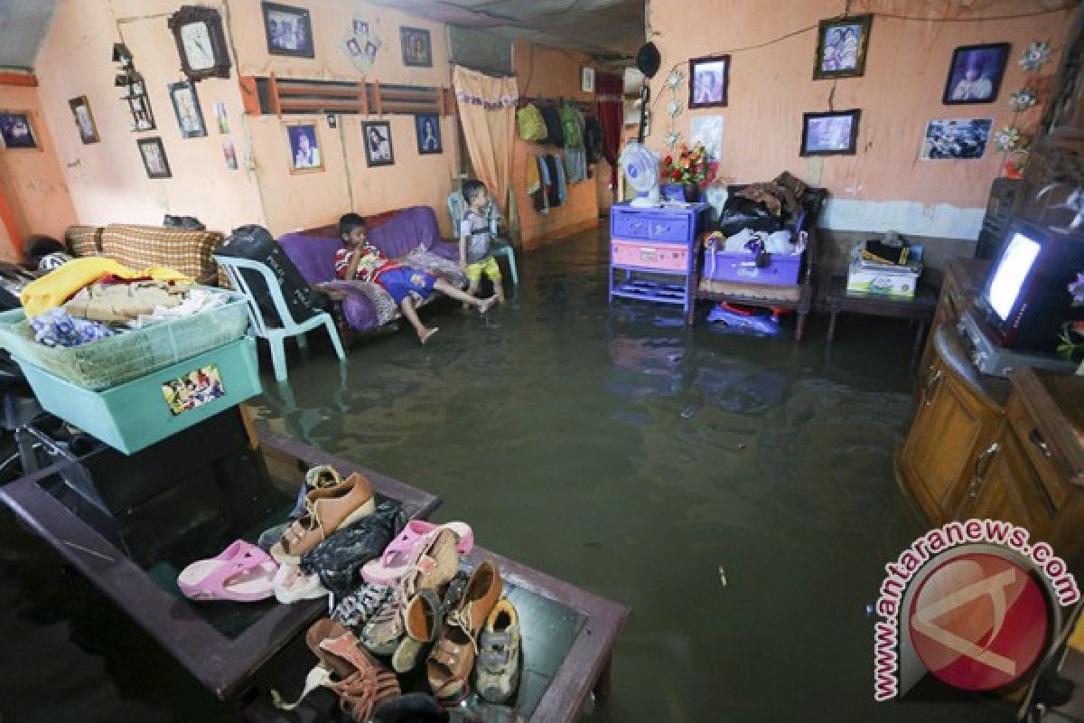 Puluhan rumah di Lengayang terendam banjir