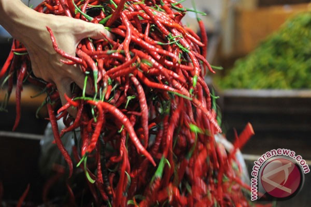 Harga cabai tembus Rp58 ribu di Pesisir Selatan