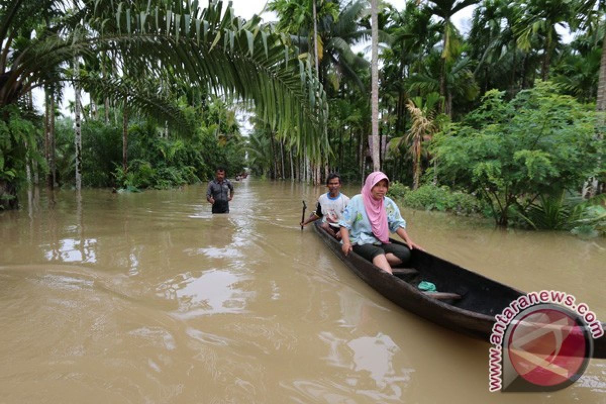 Banjir luapan sungai terjang pedalaman Aceh Barat