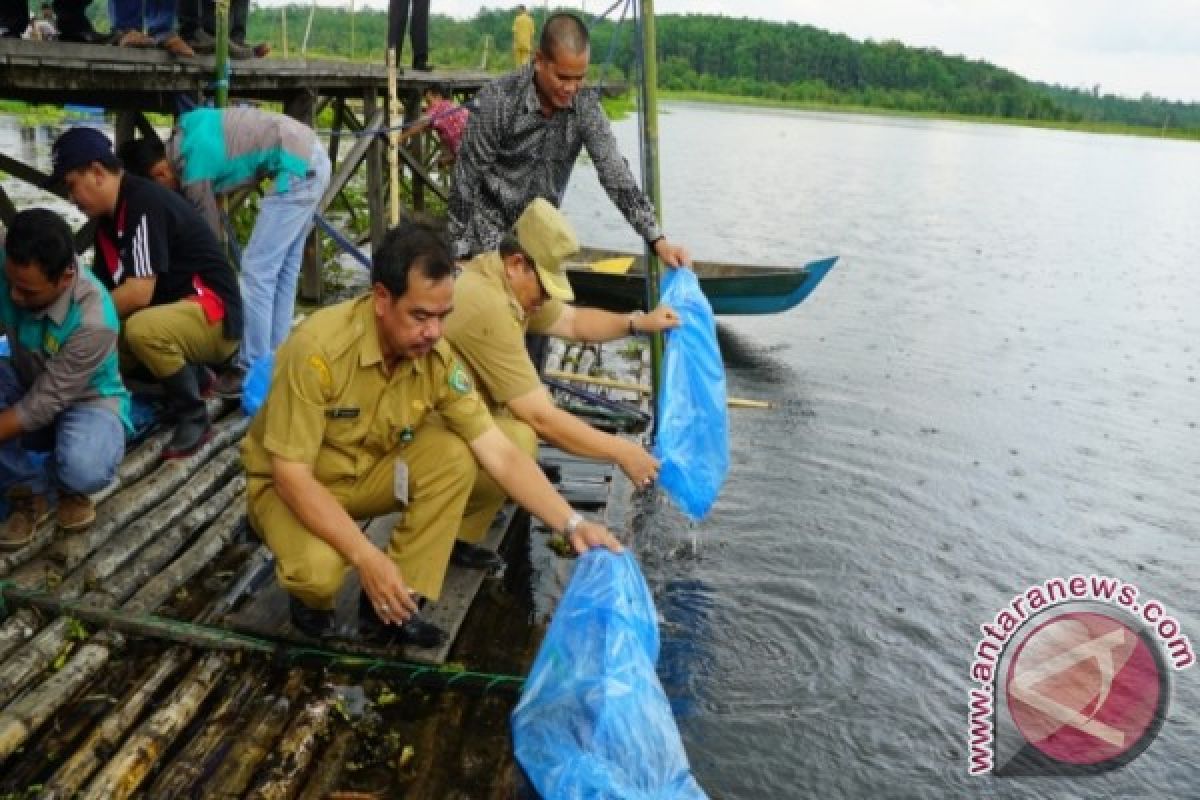 Balai Benih Ikan Tabalong Terkendala