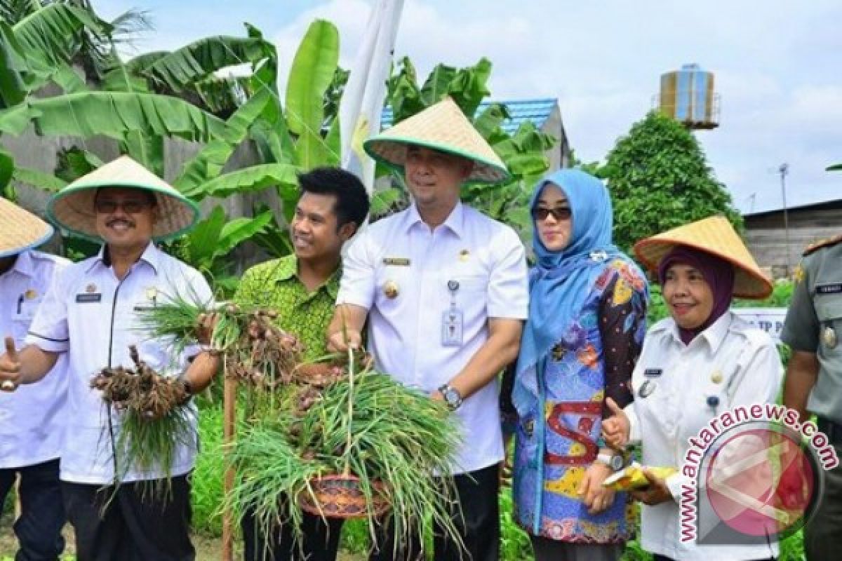 Jambi dorong petani kembangkan bawang merah biji 