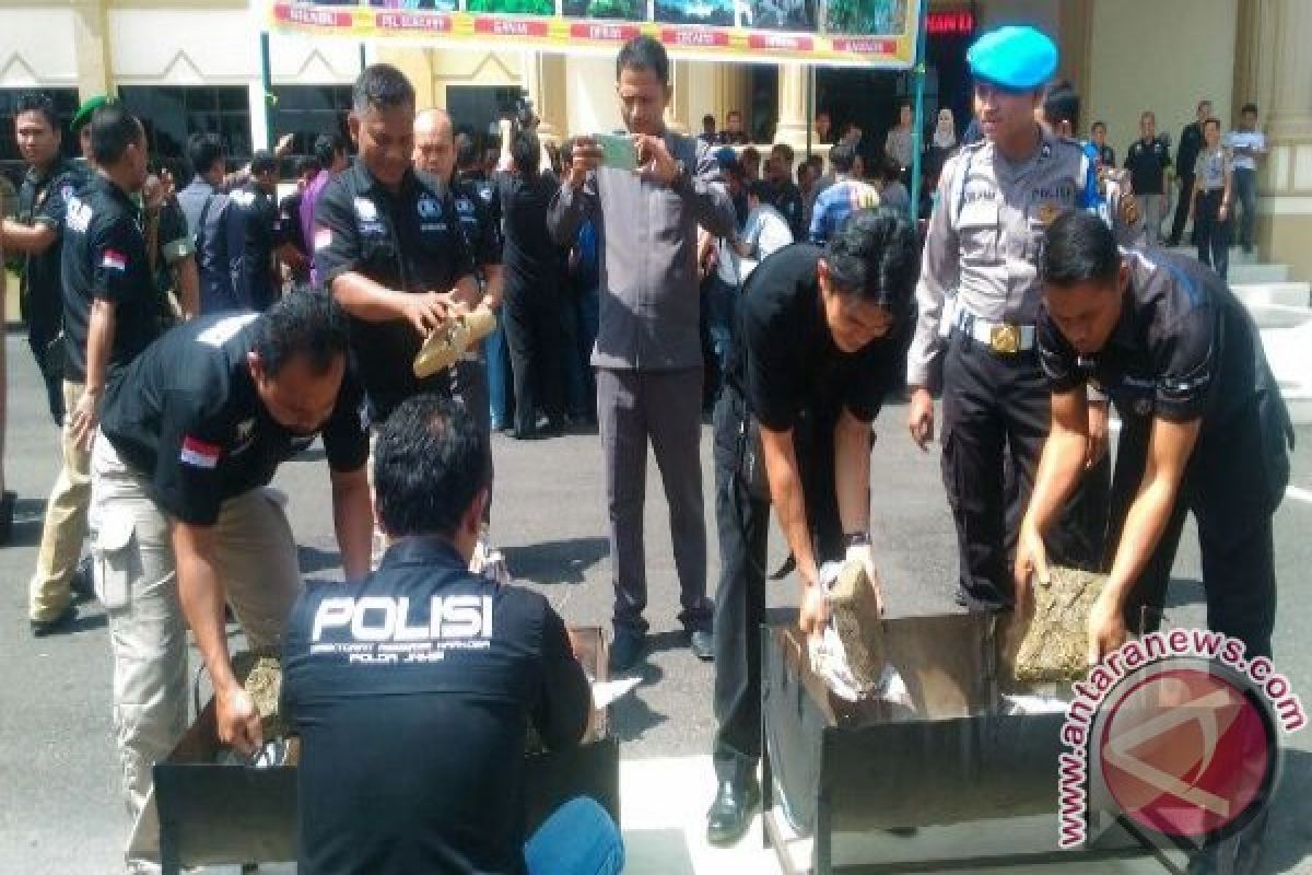 Polda Jambi musnahkan barang bukti ganja Aceh
