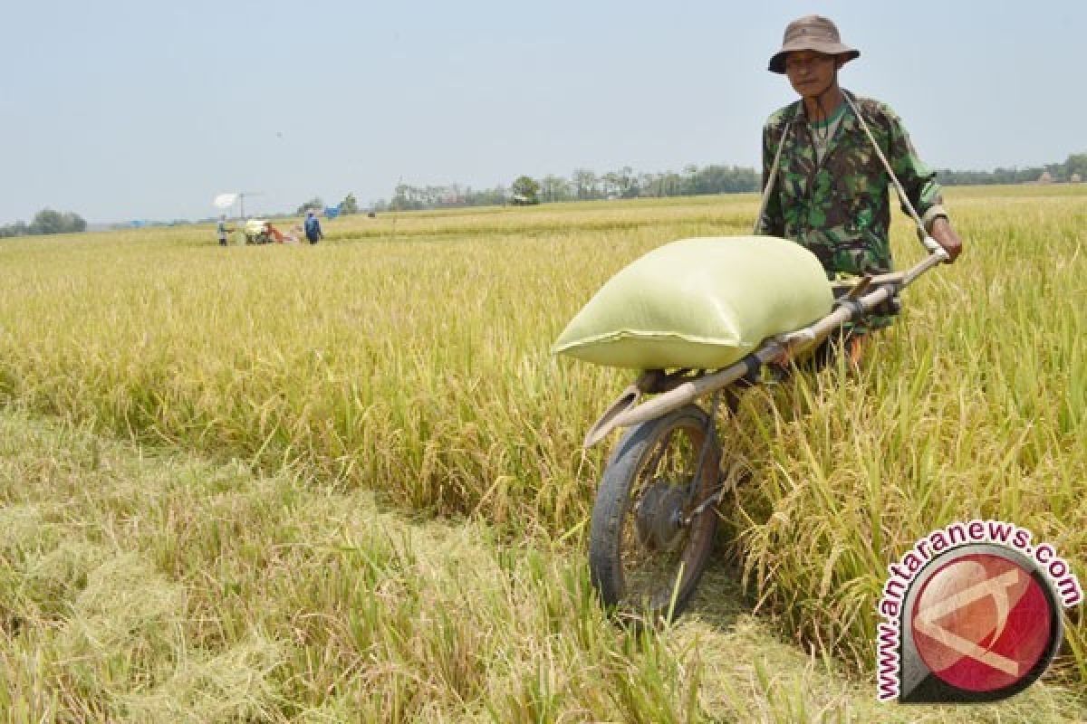 Upah harian buruh tani naik 0,25 persen