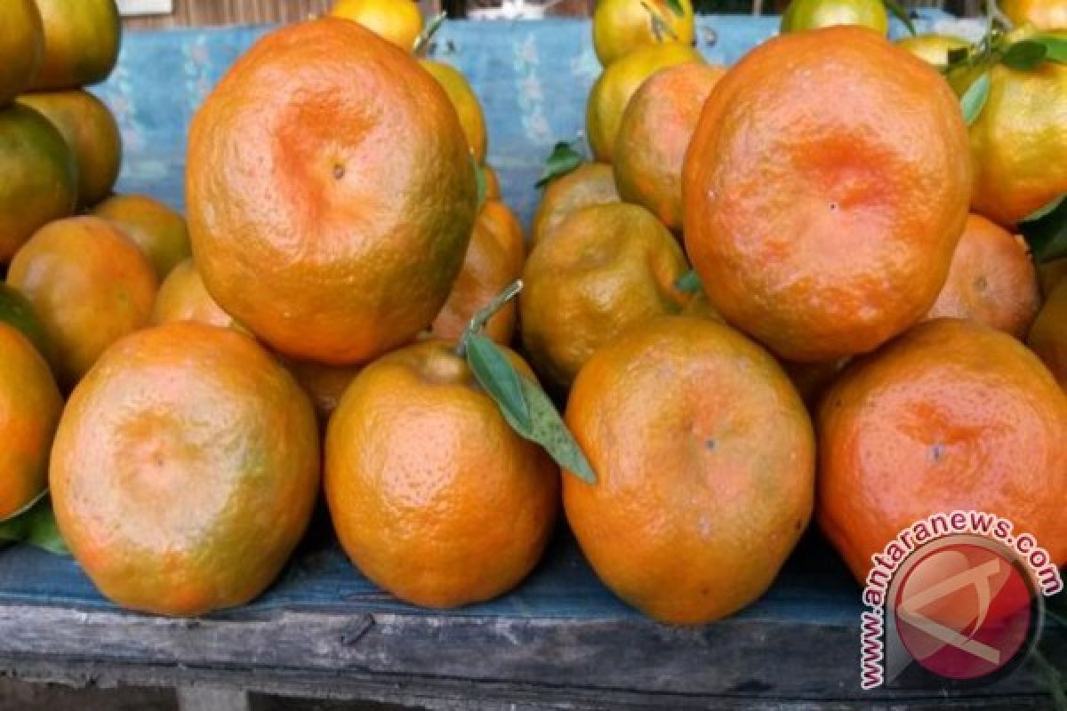 Festival Buah Ajang Promosi Pangan Lokal