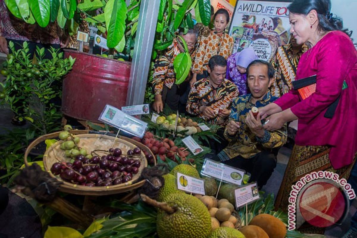 10.000 peserta siap ramaikan karnaval "Fruit Indonesia 2016"