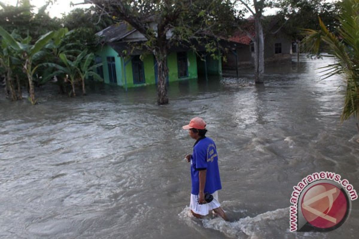 Lima desa di Siak tergenang banjir