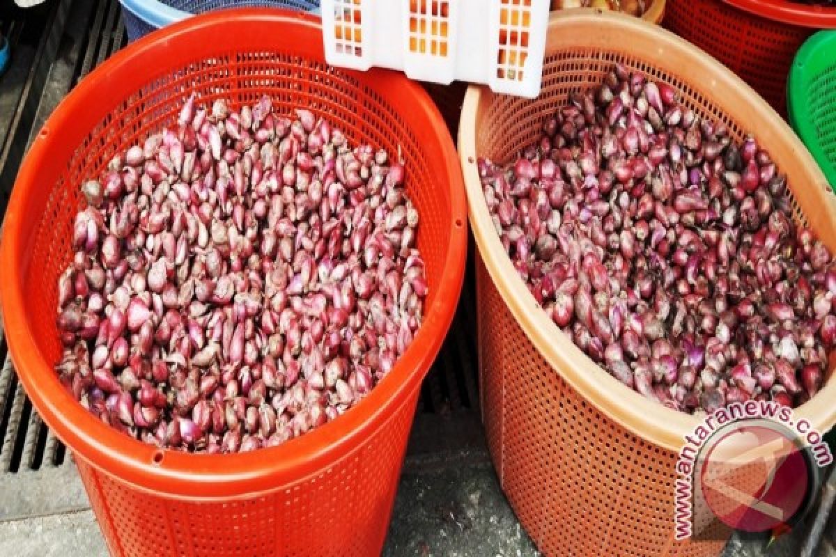 Harga Bawang di Pangkalpinang Bertahan Tinggi