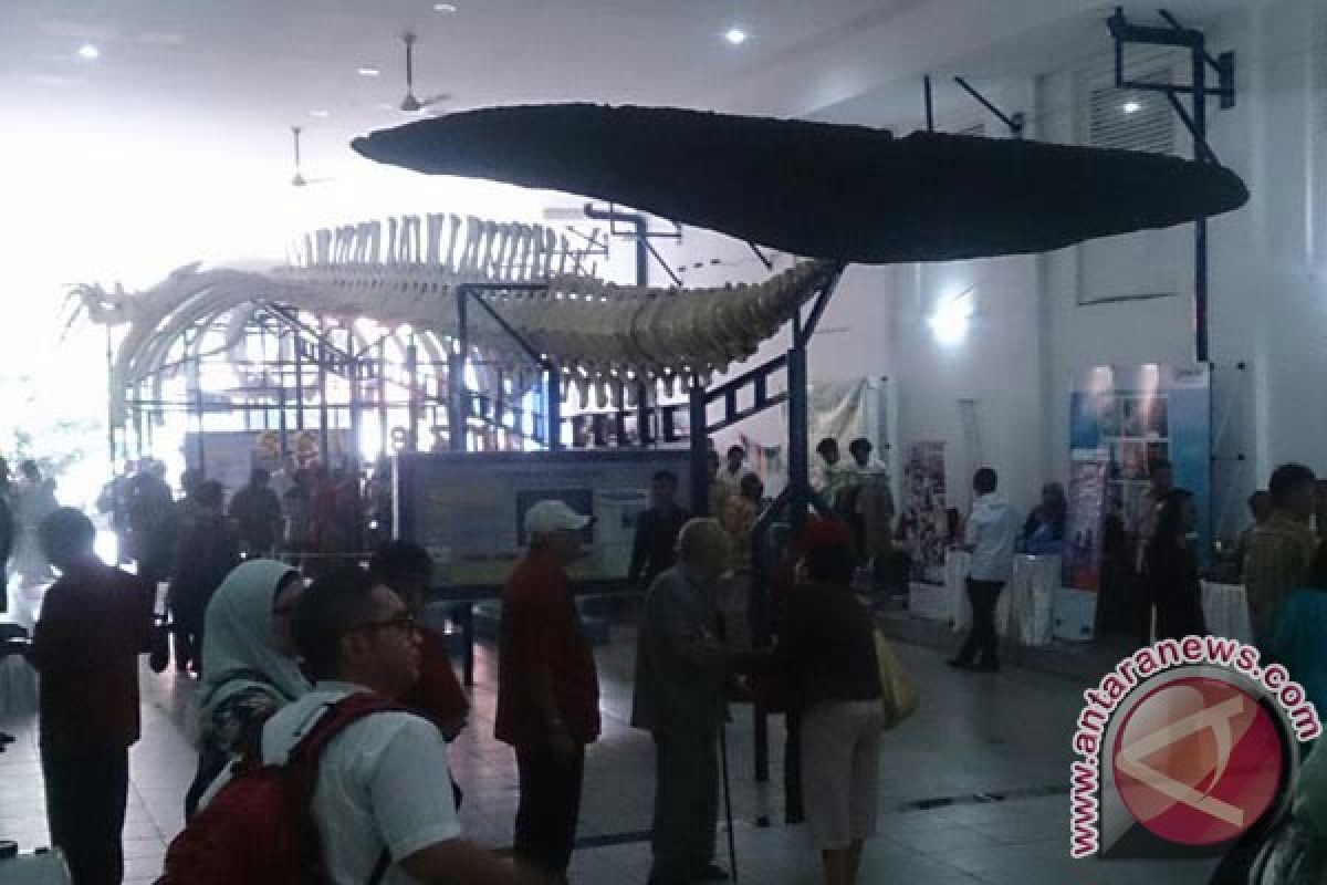 Museum Zoologi Simpan Tulang Paus 100 Tahun