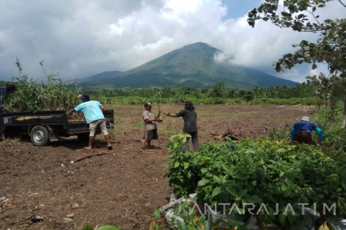 Ribuan Bibit akan Ditanam pada  