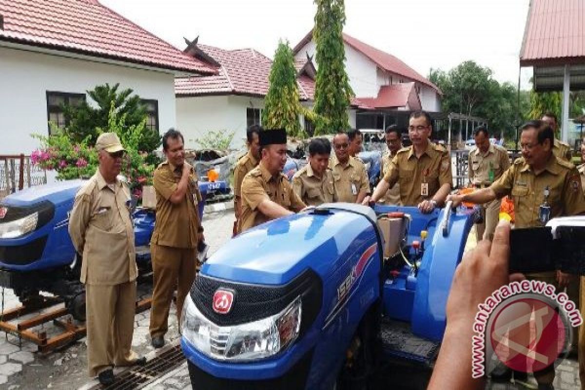 Bupati Lepas Merpati Peringati 13 Tahun Lingga