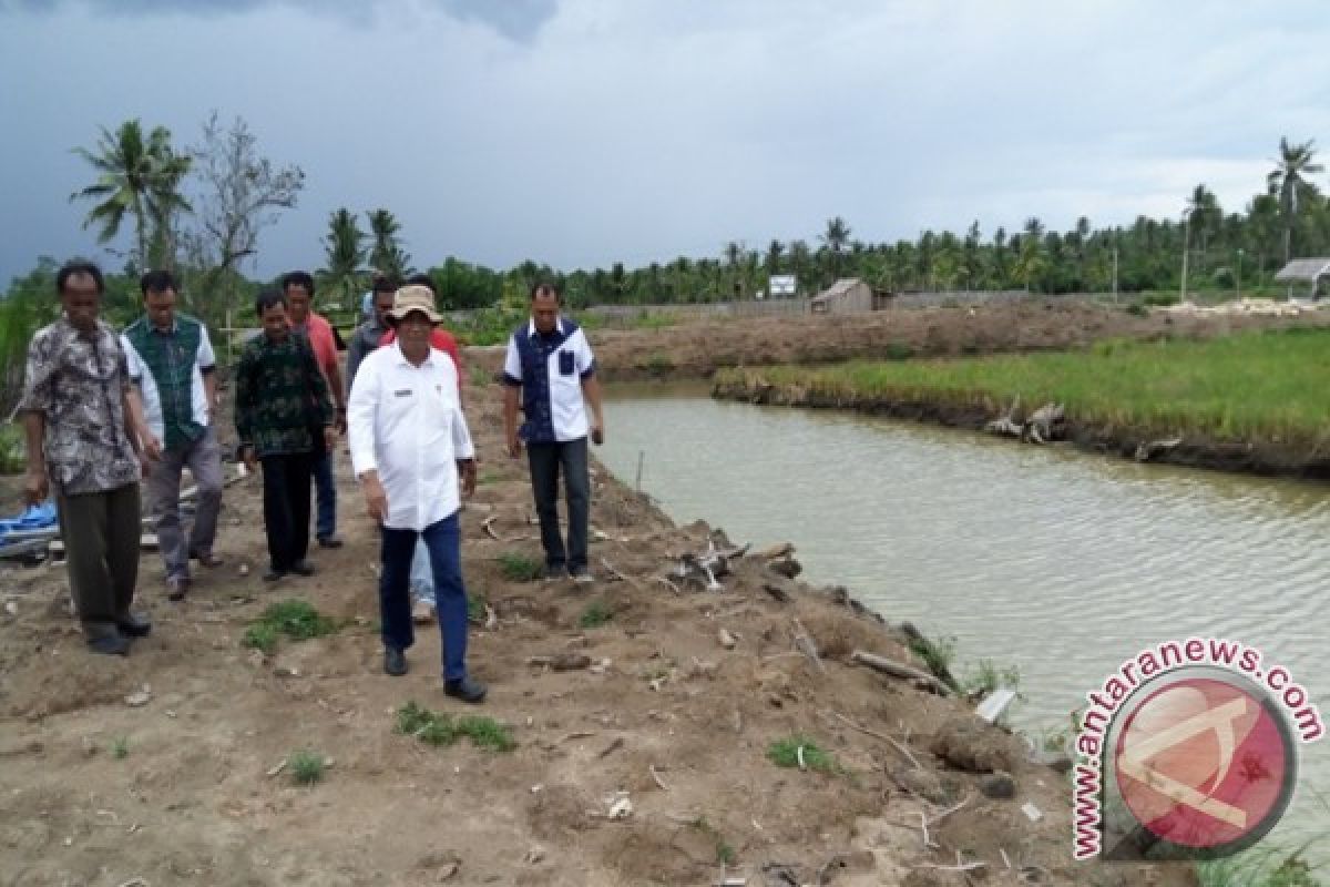 DKP Sulteng bangun percontohan mina padi di lima kabupaten