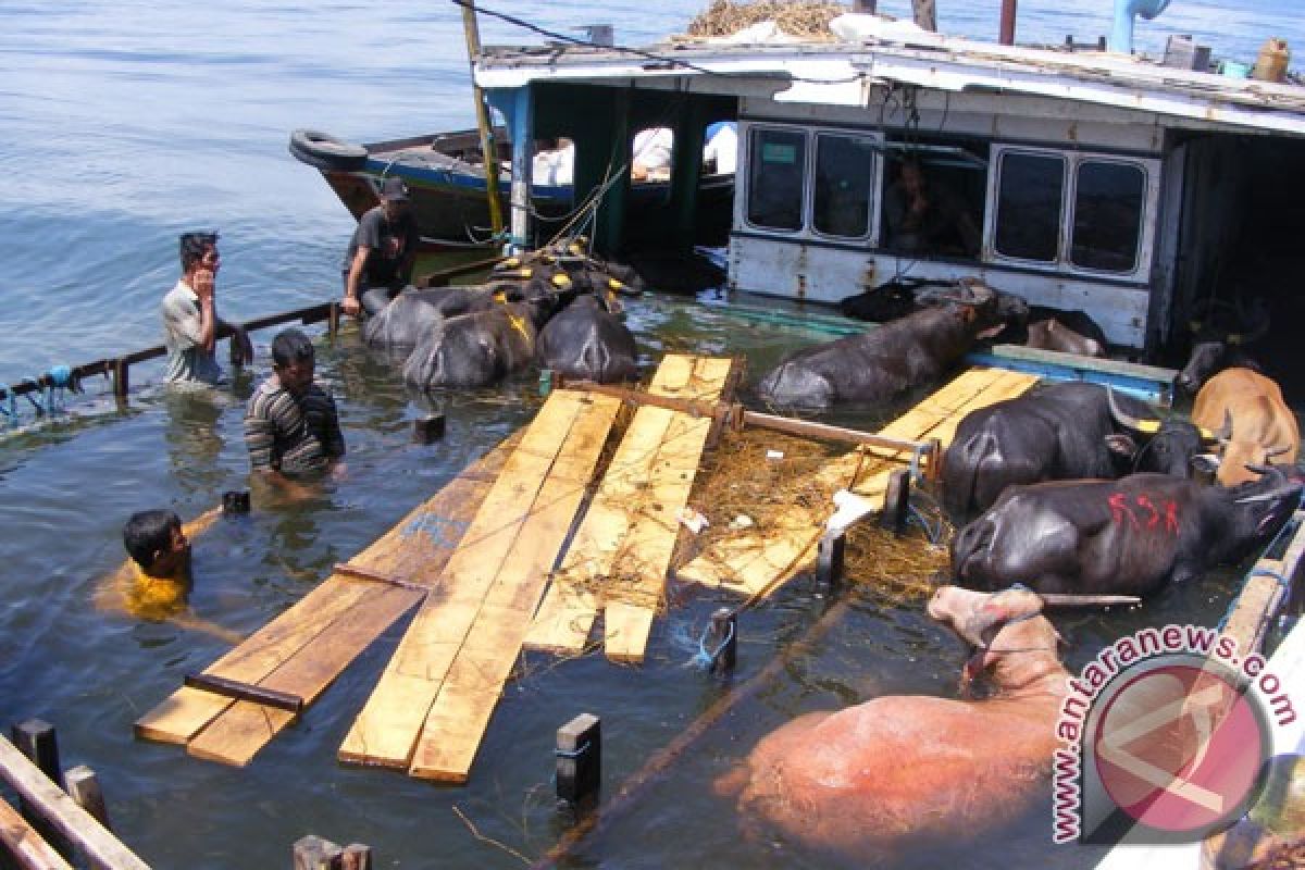 Kapal penumpang karam di perairan Makassar