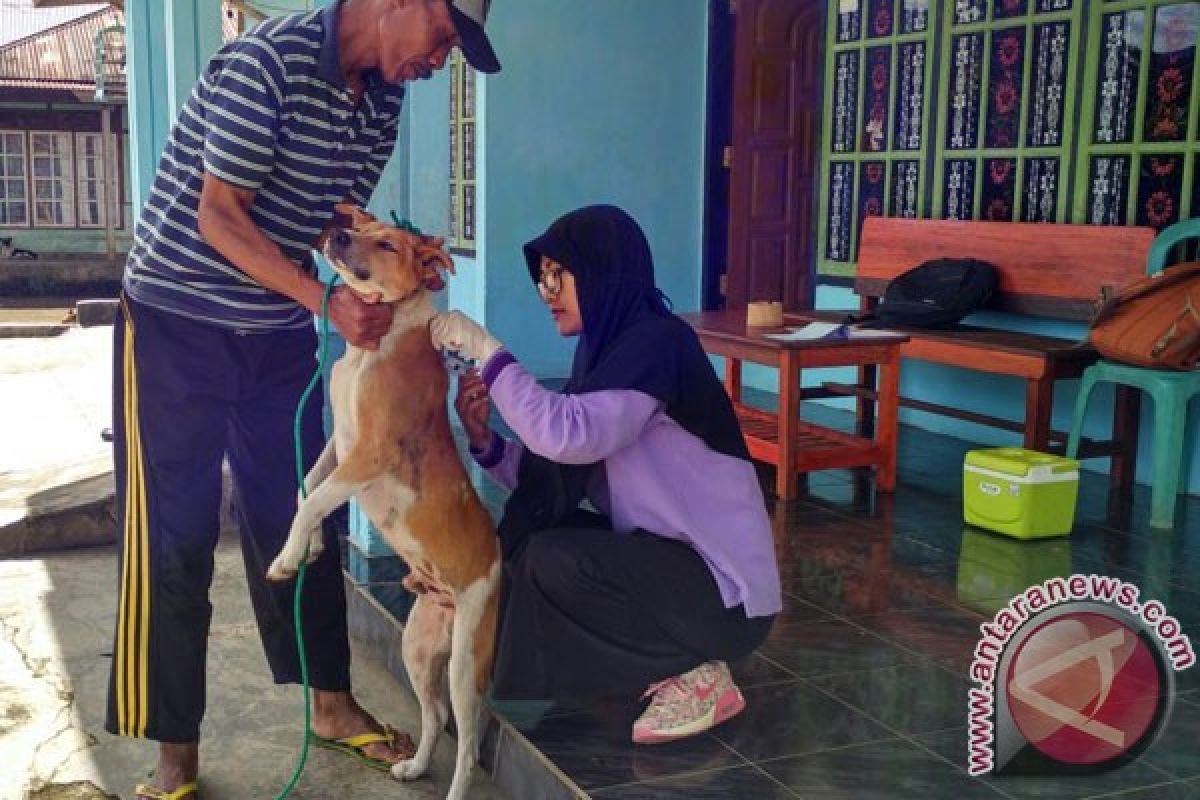 Populasi Hewan Penular Rabies Rejang Lebong Tertinggi