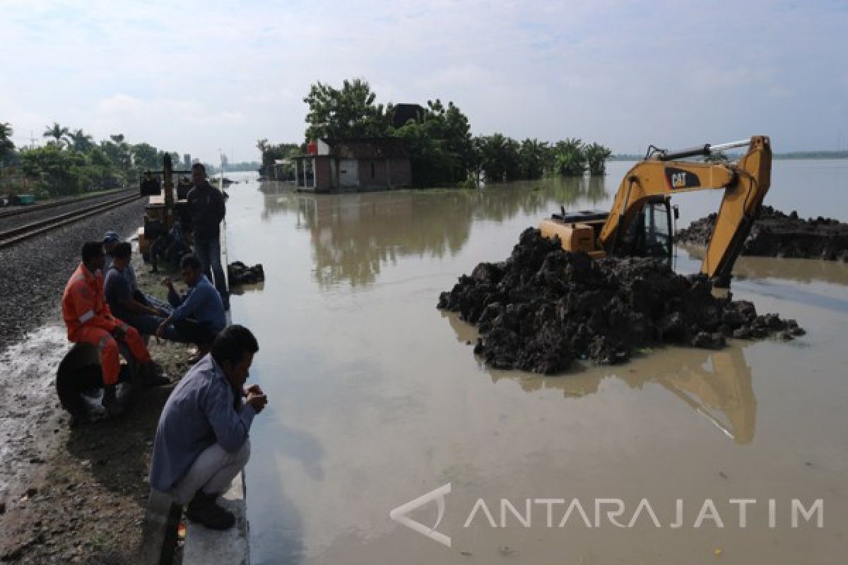 Ratusan Hektare Padi di Bojonegoro Terendam Banjir