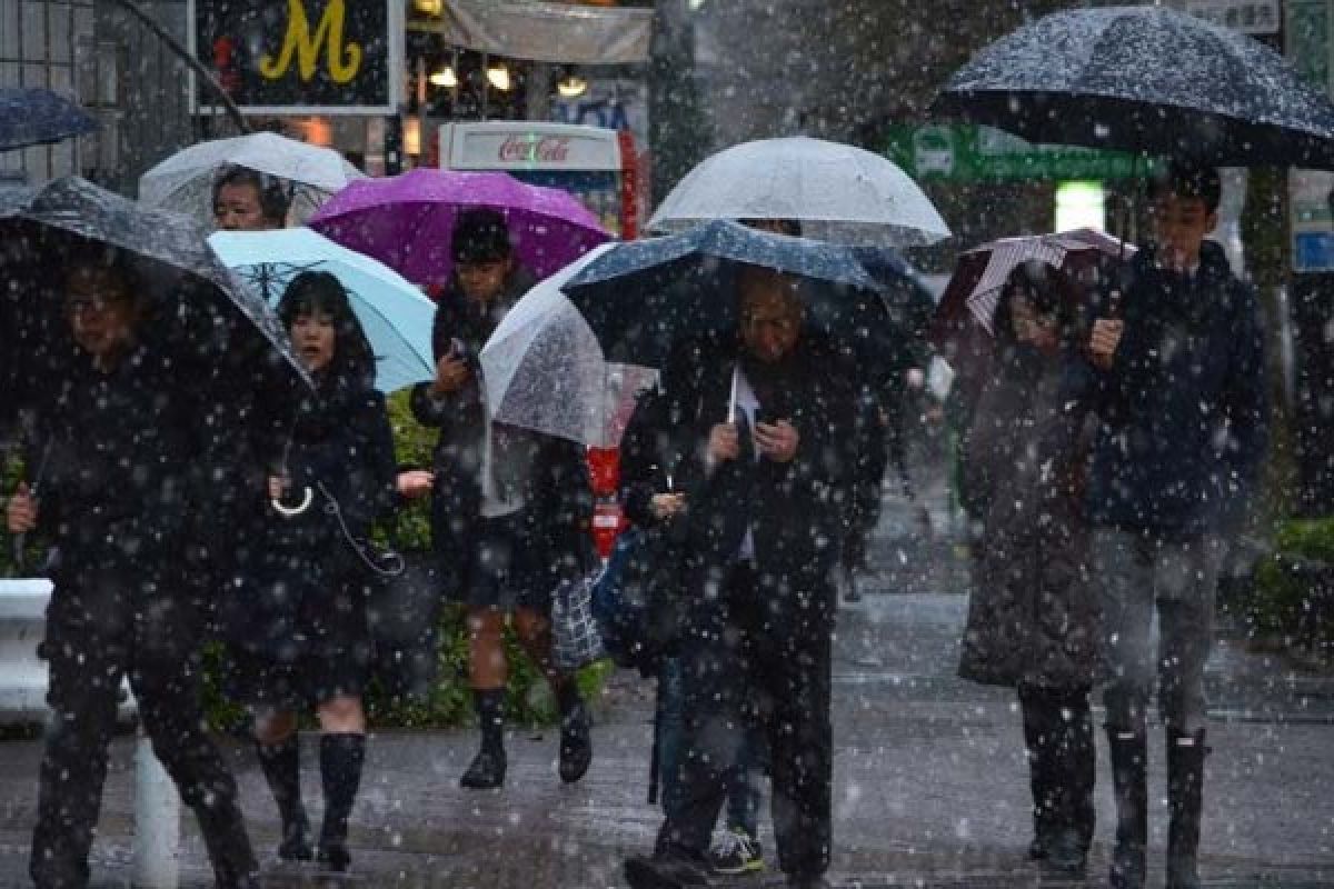 Tokyo hits by first November snow in 54 years