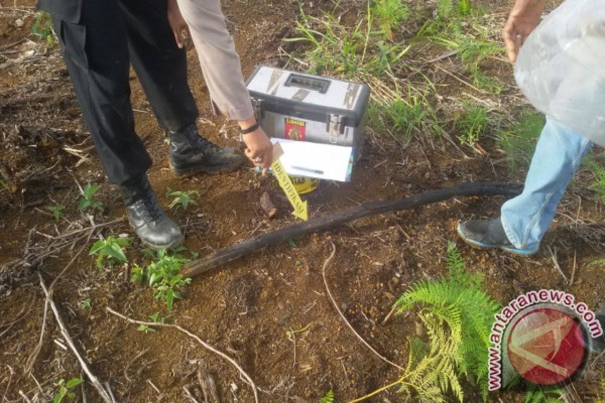  Polisi Ungkap Pembunuhan Samsul di Kebun Sawit