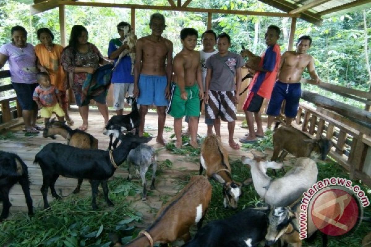 Warga Dusun Mentuak Dapat Bantuan Kambing