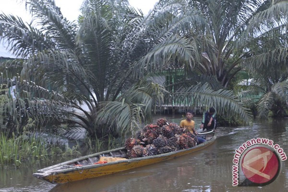 Holding perkebunan bidik penjualan Rp48,7 triliun