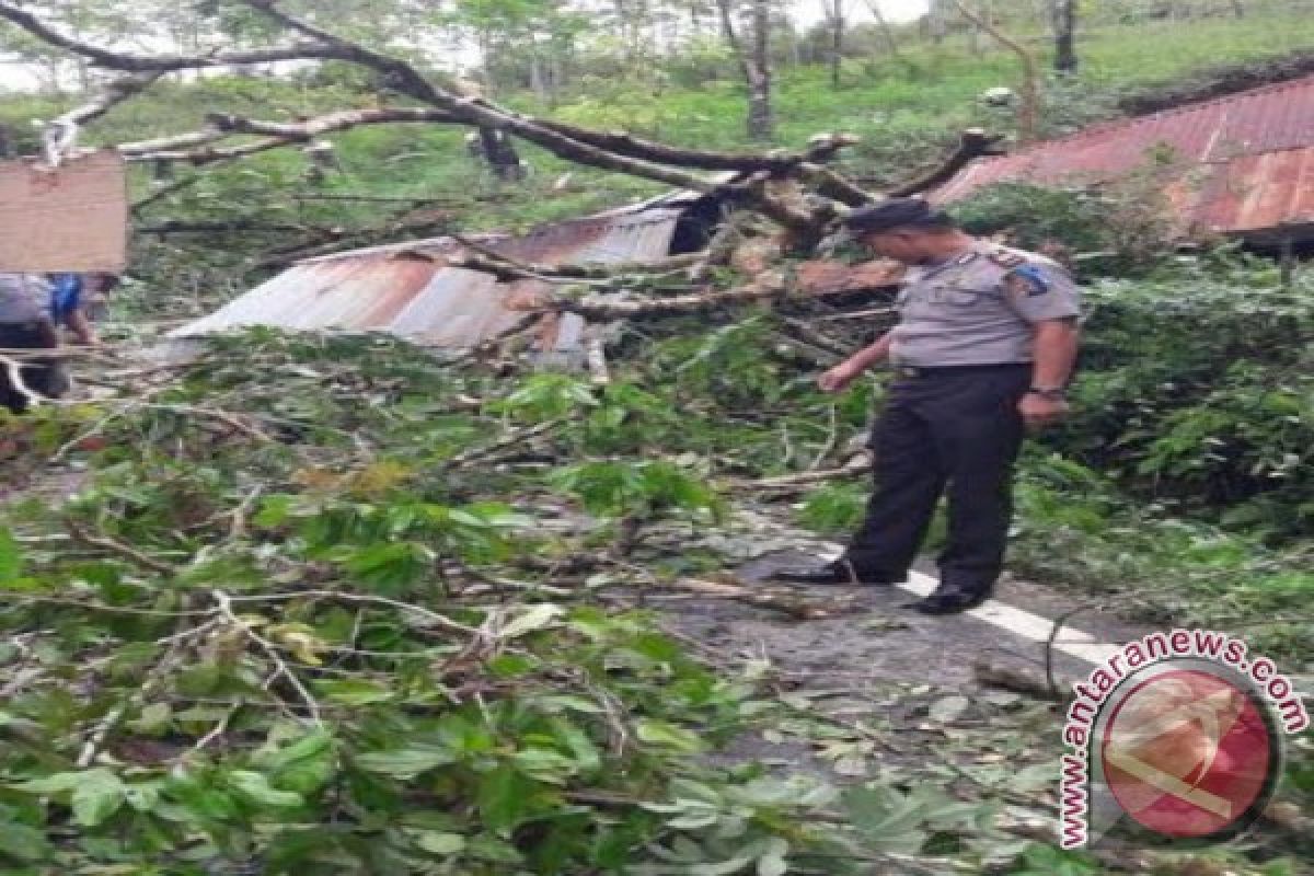 Longsor dan Pohon Tumbang Rusak 2 Rumah